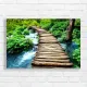 Serene Forest Walk Wooden Bridge Canvas Print