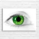 Vibrant Green Eye Macro Canvas Print