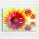 Vibrant Red Yellow Flower Reflection Canvas Print