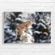 Majestic Mountain Lion Snow Canvas Print