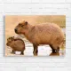Adorable Capybara Family Nature Canvas Print