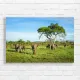 Majestic Elephants Savannah Wildlife Canvas Print