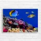 Vibrant Tropical Fish & Coral Reef Canvas Print