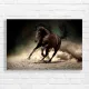 Majestic Horse Galloping Canvas Print - Equestrian Art