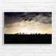 Majestic Horse Herd Sunset Silhouette Canvas Print