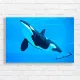 Majestic Orca Ocean Canvas Print
