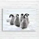 Adorable Penguin Chicks Fluffy Snow Canvas Print