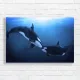 Orca Whale Ocean Serenity Canvas Print