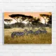 African Savannah Zebras Canvas Print