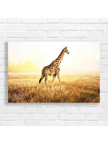 Serene Giraffe Safari Golden Hour Canvas Print