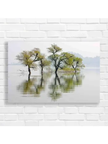 Serene Water Trees Reflection Canvas Print