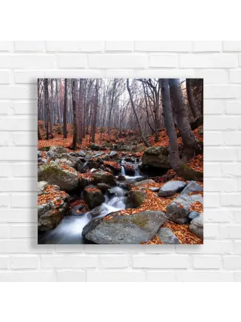 Autumn Forest Stream Serenity Canvas Print