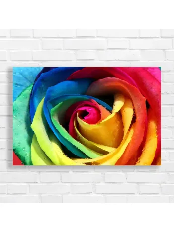 Vibrant Rainbow Rose Dewdrops Canvas Print