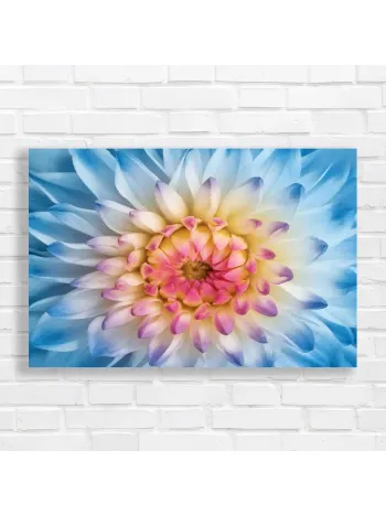 Abstract Floral Dream Blue Pink Yellow Canvas Print