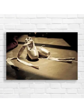 Elegant Ballet Slippers Serene Dancer Canvas Print