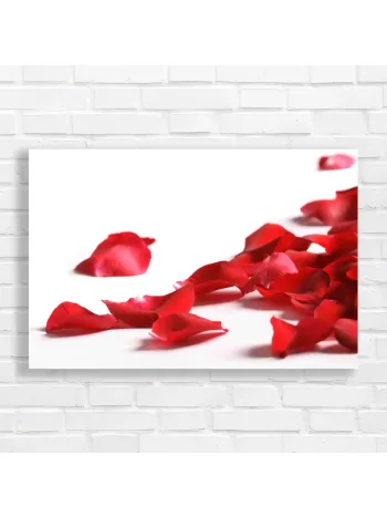 Romantic Red Rose Petals Canvas Print