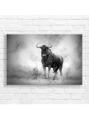 Majestic Wildebeest Black and White Canvas Print