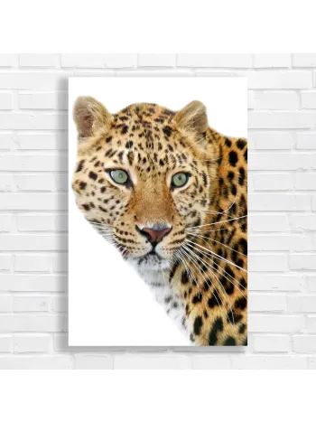 Majestic Leopard Eyes Canvas Print