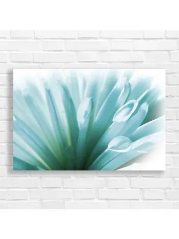 Serene Blue Petal Bloom Canvas Print