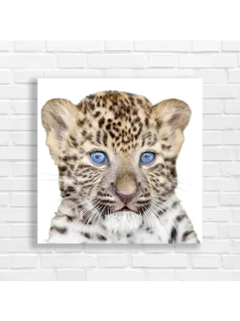 Adorable Leopard Cub Blue Eyes Canvas Print