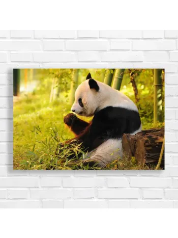 Serene Panda Bamboo Forest Canvas Print