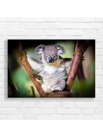 Adorable Koala on Tree Branch Canvas Print