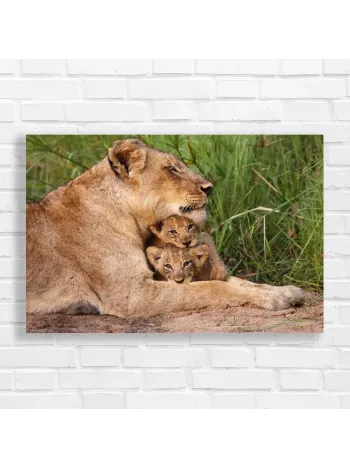 Majestic Lioness & Cubs Serene Moment Canvas Print