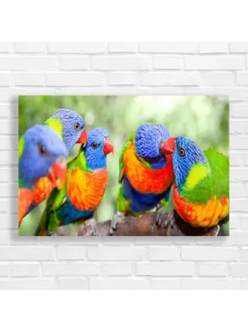 Rainbow Lorikeet Flock Vivid Colors Canvas Print