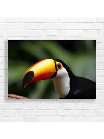 Vibrant Toucan Tropical Nature Canvas Print