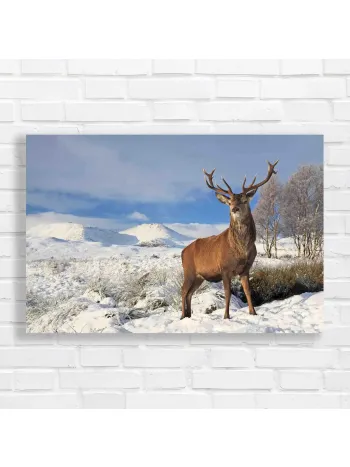 Majestic Stag Winter Scene Canvas Print