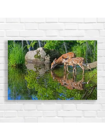 Serene Fawn Nature Scene Canvas Print