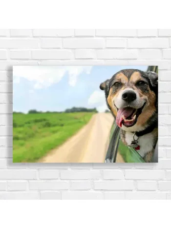 Joyful Dog Road Trip Canvas Print