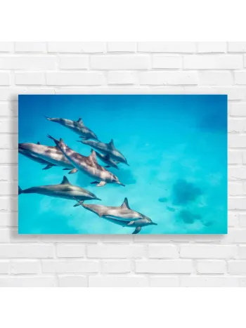 Majestic Dolphin Pod Ocean Canvas Print