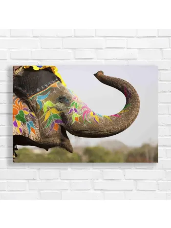 Vibrant Elephant Art Canvas Print