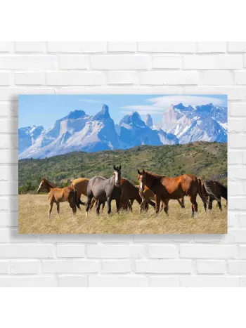 Wild Horses Majestic Mountains Canvas Print