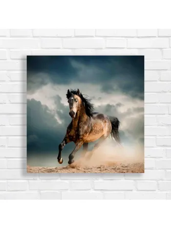 Majestic Horse Gallop Canvas Print Wall Art