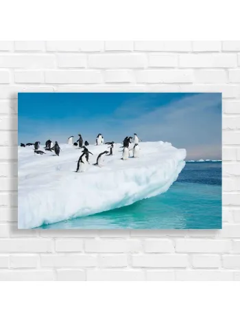 Antarctic Penguins on Iceberg Canvas Print