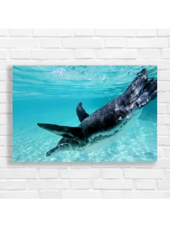 Graceful Penguin Underwater Canvas Print