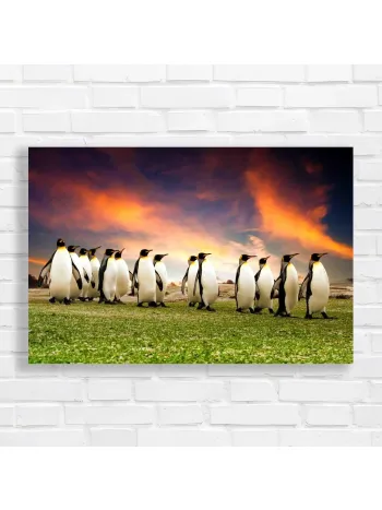 Majestic Penguin March Canvas Print