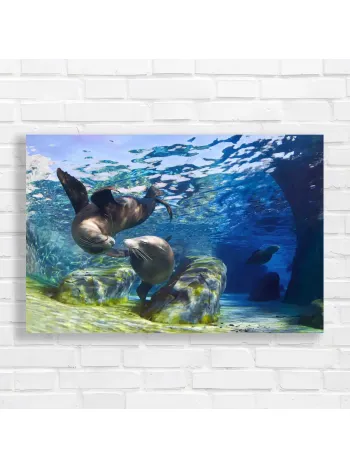Graceful Sea Lions Underwater Canvas Print