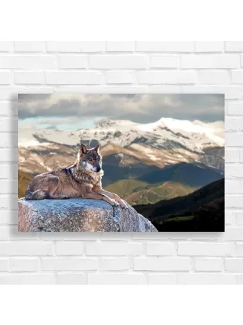 Majestic Wolf Mountain Scene Canvas Print